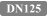 DN125